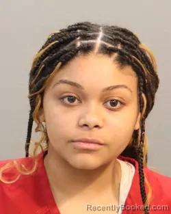 Mugshot of JASMINE TYES