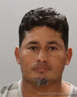 Mugshot of JOSE HERNANDEZ