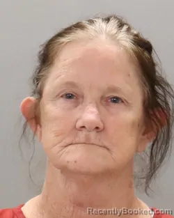 Mugshot of LISA GAYE BABB booked in Knox County, Tennessee on June 15, 2026