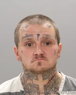 Mugshot of MICHAEL ANTHONY PERKINS