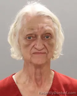 Mugshot of PATRICIA HORNYAK booked in Knox County, Tennessee on June 20, 2026