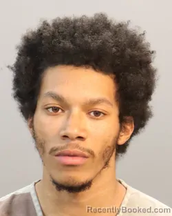 Mugshot of TORRIE LORENZO FOSTER