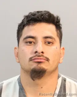 Mugshot of JOSE PEREA