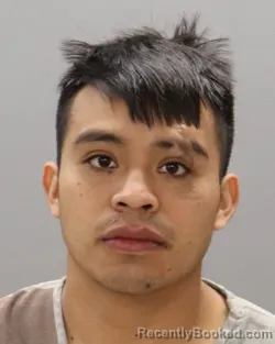 Mugshot of RICARDO RAMIREZ-PEREZ