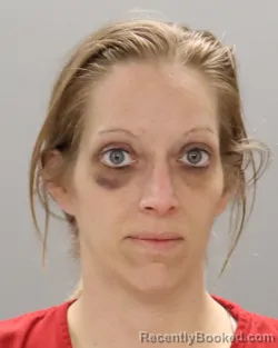 Booking photo from Knox County, Tennessee