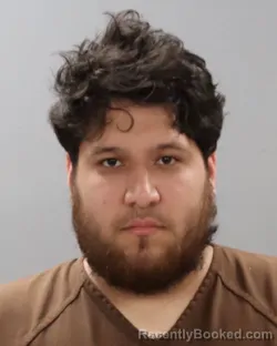 Mugshot of LUIS RAMOS-GALUE