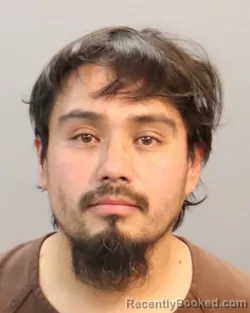 Mugshot of ALEJANDRO PATINO-PAREDES