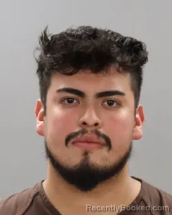 Mugshot of SALVADOR LUEVANOS-ARELLANO