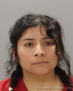 Mugshot of MARIA ALONZO-GOMEZ