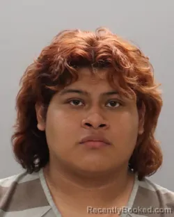 Mugshot of JOSE LUIS DIEGO FRANCISCO