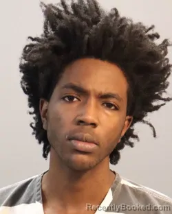 Mugshot of CHEVY JAVON HARDY