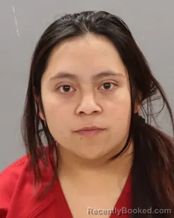 Mugshot of NAYELI LEZAMA-GIL
