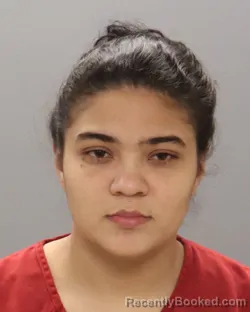 Mugshot of MARGARITA CASTRO-HERNANDEZ