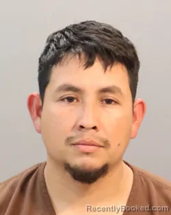 Mugshot of JOSE ARGUETA