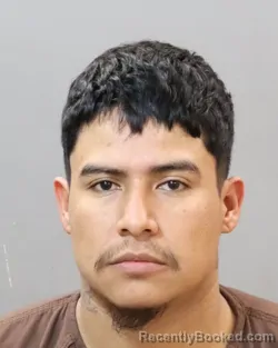 Mugshot of LUIS CONTRERAS