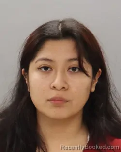 Mugshot of MARIA COLIN-HERNANDEZ