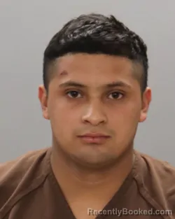 Mugshot of ALBINO RAMIREZ-PACHECO