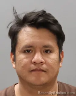 Mugshot of FIDEL LUIS-RODRIGUEZ