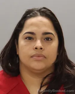 Mugshot of LEYSI JEREZ-PUGA