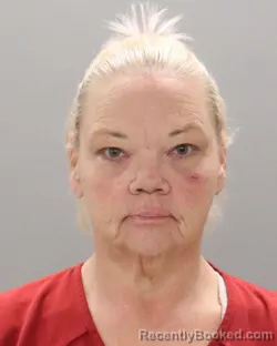 Mugshot of MICHELLE LIL MCDORMAN