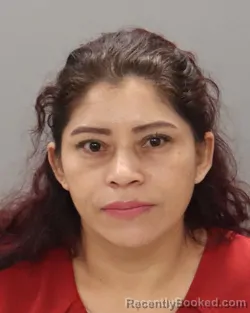 Mugshot of ANABEL DELCID-AGUILAR