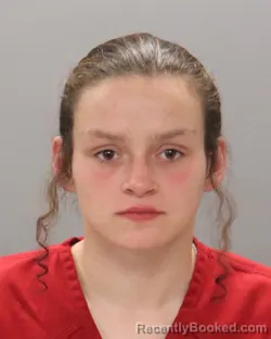 Mugshot of HALEY MARIE BREWER