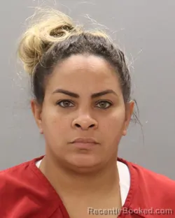 Mugshot of YILIANNE CASERO
