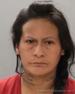 Mugshot of MARIA PATRICIA RAMIREZ-DELGADO
