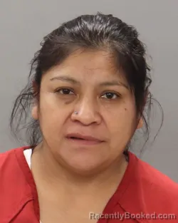 Mugshot of ELISA GODINEZ-OROZCO