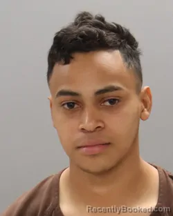 Mugshot of GELIN MEDINA-CARCAMO