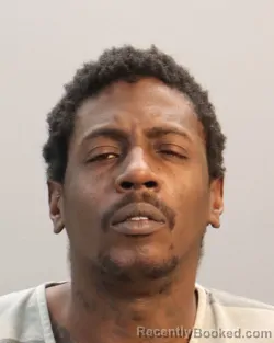 Mugshot of LEONTA SUMMERS