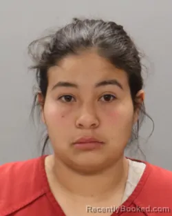 Booking photo from Knox County, Tennessee