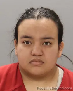 Mugshot of ESTEFANIA AMAYA-LIZAMA