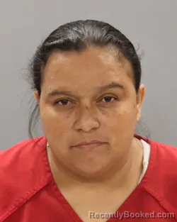 Mugshot of VICTORIA TORRES-LOPEZ