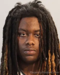 Mugshot of TYGARYON DEONTA HOFFMAN
