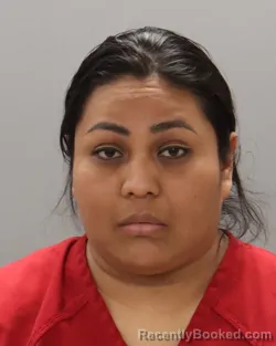 Mugshot of JUANA ESTELA PABLO-MIGUEL