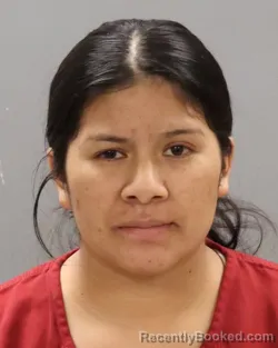 Mugshot of MARIA ALONZO-GOMEZ