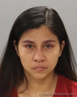 Mugshot of DEYSI IZAGUIRRE-VASQUEZ