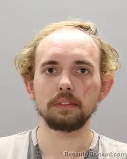 Mugshot of DAVID RYAN-SETH EZZELL