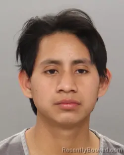Mugshot of DIEGO ABRAHAM