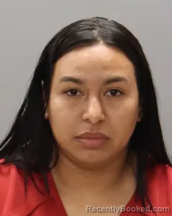Mugshot of JHORBYS NOHEMI GONZALEZ-GALINDO