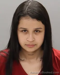 Mugshot of GEIDI MANDON-SUAREZ