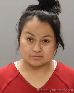 Mugshot of JENNY PINEDA-GOMEZ
