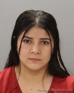 Mugshot of BRENDA ROQUE-CHINCHILLA