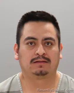 Mugshot of DOMINGO ROSALES