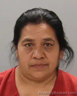 Mugshot of CAROLINA HERNANDEZ-BACHAN
