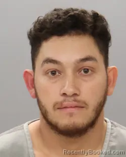 Mugshot of MARLON LANZA