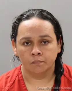 Mugshot of MARIANA AGUILAR-BARAHONA