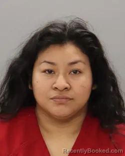Mugshot of YOSELI ORTIZ-ORTIZ