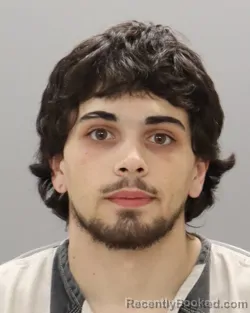 Mugshot of STEFEN VIN BLAKE LOVETTE